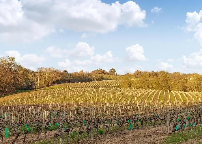 Lovely In D'armagnac 公寓