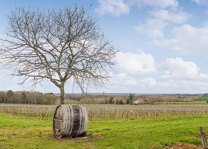 公寓 Lovely In D'armagnac *