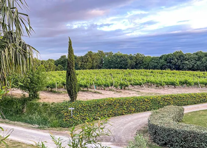 Lovely In D'armagnac * Mauleon-D'armagnac